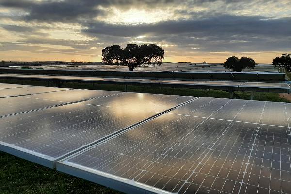 Iberdrola e FCC assinam acordo para reciclagem industrial de painéis fotovoltaicos