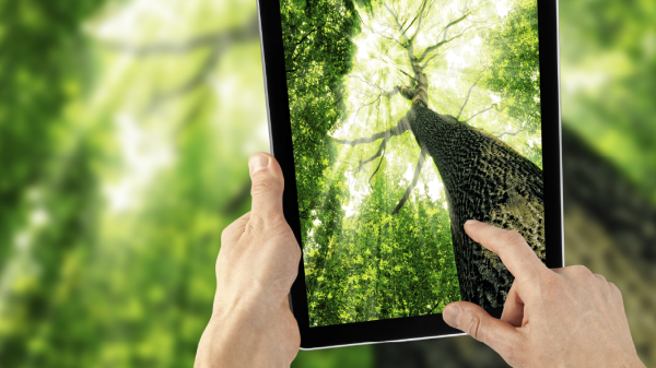 2050 Sustainability Strategy