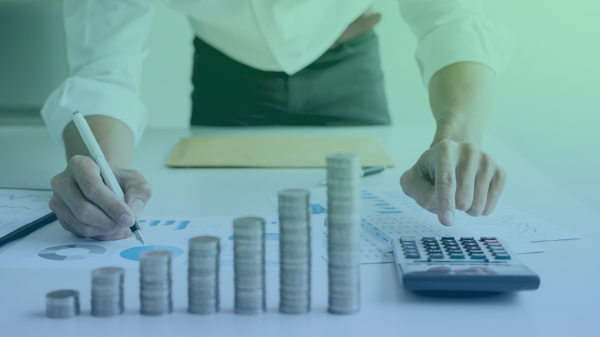 Debt issuances and ratings